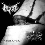 Schneidetrieb (Split with Triebtat, Misanthrop)