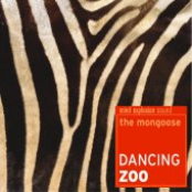 Dancing Zoo