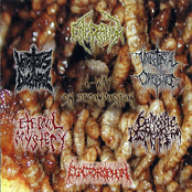 6-Way Sin Decomposition