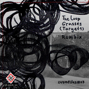 The Loop Grasses (Target1)