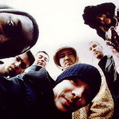 the herbaliser band