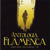 Antologia Flamenca