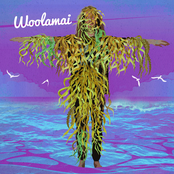 Woolamai