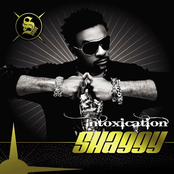 Reggae Vibes by Shaggy
