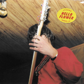 Hello Flower