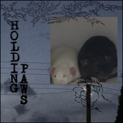 Holding Paws