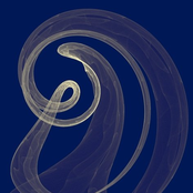 Not Another Day In The Machine