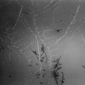 A Lifetime Of Annotations