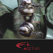 Zyklon B by Acylum