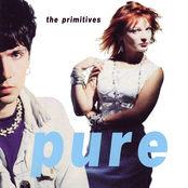 Shine by The Primitives