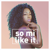 So Mi Like It by Spice