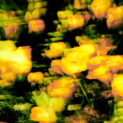 Good Day (Feat. Jay Park, 1iL)