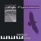 Life Experience