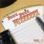 Buzz Buzz Buzzzzzz Vol.1: The High Art of the Groovy '60s Psychedelic Instrumental