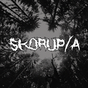 Skorup/a
