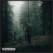 An Everyday Landscape