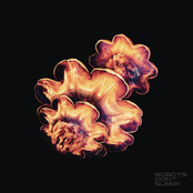 Robots Don't Sleep EP