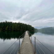 Wallpapers, Not Paintings