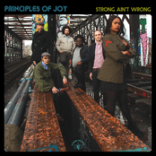 Principles of Joy – Strong Ain't Wrong
