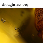 TLM019 | Rubber Bump