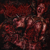 Aeroerotic Bloodplay Twincest Voyeurism