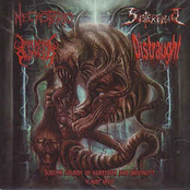 Sublime Sounds of Aggression and Brutality