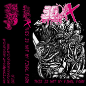 THIS IS NOT MY FINAL FORM