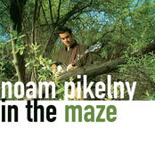 Noam Pikelny: In the Maze