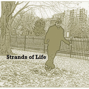 strands of life