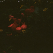Lie (Jaron Remix) - Single
