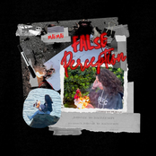False Perception