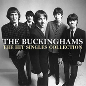 The Buckinghams: The Hit Singles Collection