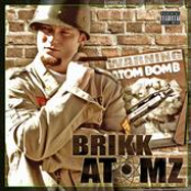 Brikk Atomz