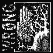 SNAPPING THE BONES TO MAKE THE LIMBS BEND