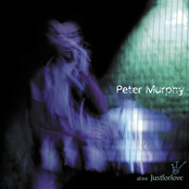 All We Ever Wanted Was Everything by Peter Murphy