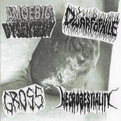 Amoebic Dysentery / Dwarfophile / Gross / Necrobestiality