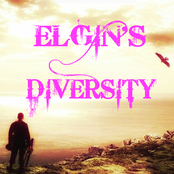 Elgin's Diversity