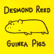 Guinea Pigs by Desmond Reed