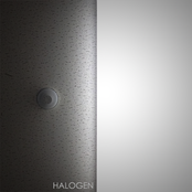 Halogen - Single