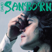 I Do It For Your Love by David Sanborn