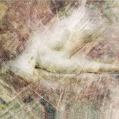 Penumbra over Beauty