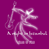 Birds of Fire: A night in Istanbul