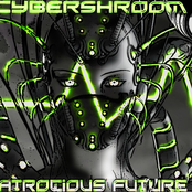 cybershroom