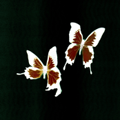 Korine: Tear Remixes