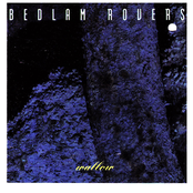 Brown Rice by Bedlam Rovers