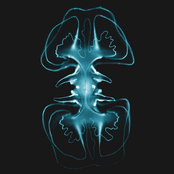 Nick Lutsko: Spineless