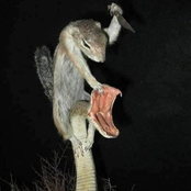 thought id be okay by now