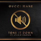 Tone it Down (feat. Chris Brown) Album Picture