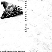 dumb.found.dead - 2008/2009