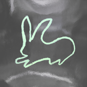 Virgin Soil - Single